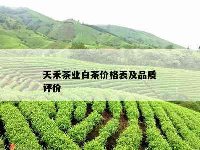 天禾茶业白茶价格表及品质评价