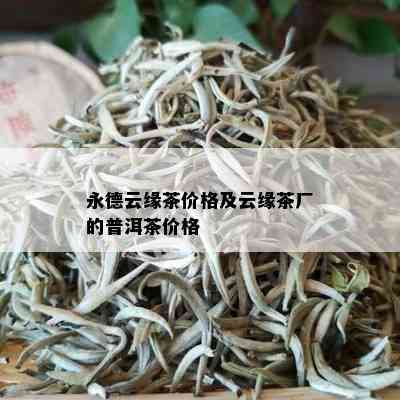 永德云缘茶价格及云缘茶厂的普洱茶价格