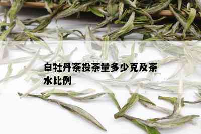 白牡丹茶投茶量多少克及茶水比例