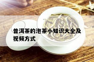 普洱茶的泡茶小知识大全及视频方式