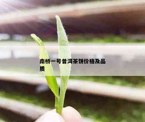 南桥一号普洱茶饼价格及品质