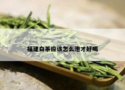 福建白茶应该怎么泡才好喝