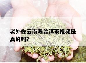 老外在云南喝普洱茶视频是真的吗？