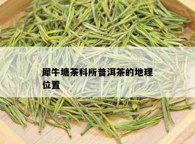 犀牛塘茶科所普洱茶的地理位置