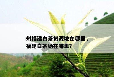 州福建白茶货源地在哪里，福建白茶场在哪里？