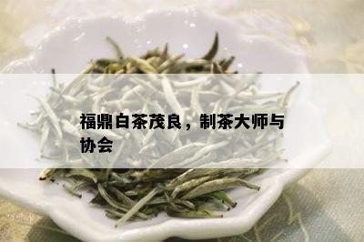 福鼎白茶茂良，制茶大师与协会