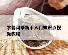 学普洱茶新手入门知识点视频教程