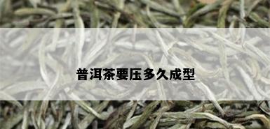 普洱茶要压多久成型