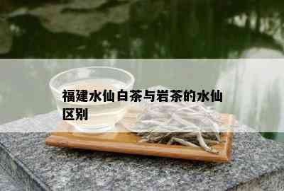 福建水仙白茶与岩茶的水仙区别