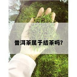 普洱茶属于结茶吗？