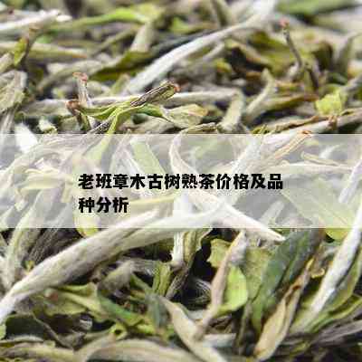 老班章木古树熟茶价格及品种分析