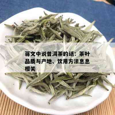 蒋文中说普洱茶的话：茶叶品质与产地、饮用方法息息相关