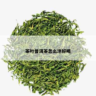 茶叶普洱茶怎么泡好喝