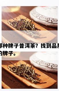 那种牌子普洱茶？找到品质的牌子。