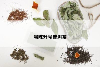 喝陈升号普洱茶