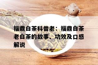 福鼎白茶科普老：福鼎白茶老白茶的故事、功效及口感解说