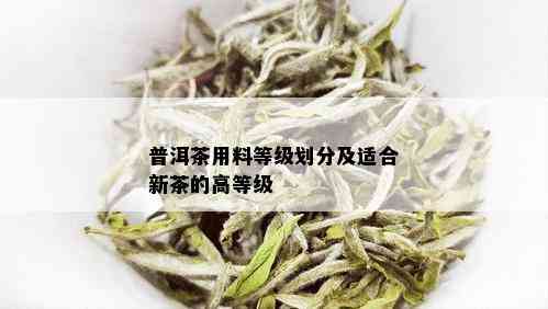 普洱茶用料等级划分及适合新茶的高等级