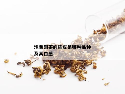 泡普洱茶的陈皮是哪种品种及其口感