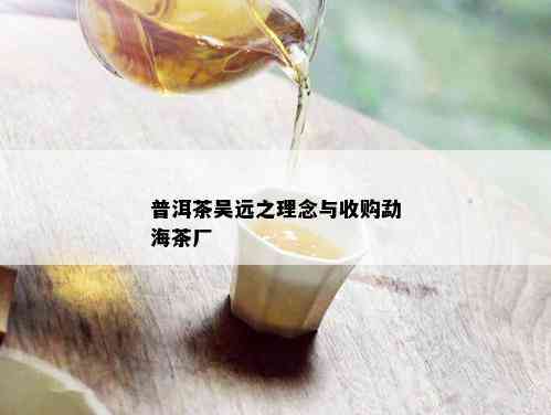 普洱茶吴远之理念与收购勐海茶厂