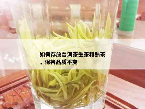 如何存放普洱茶生茶和熟茶，保持品质不变