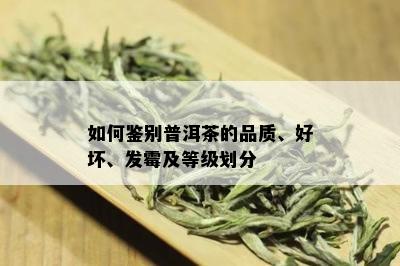 如何鉴别普洱茶的品质、好坏、发霉及等级划分