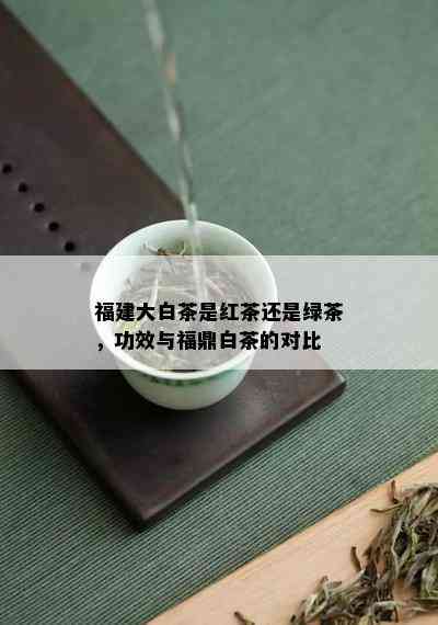 福建大白茶是红茶还是绿茶，功效与福鼎白茶的对比