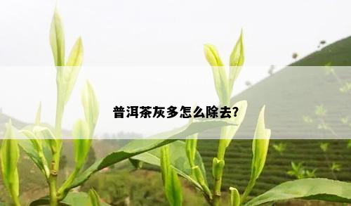 普洱茶灰多怎么除去？