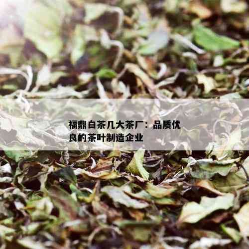 福鼎白茶几大茶厂：品质优良的茶叶制造企业