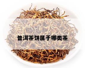 普洱茶饼属于哪类茶