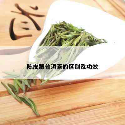 陈皮跟普洱茶的区别及功效