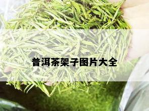 普洱茶架子图片大全