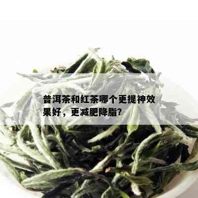 普洱茶和红茶哪个更提神效果好，更减肥降脂？