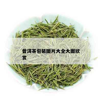 普洱茶包装图片大全大图欣赏