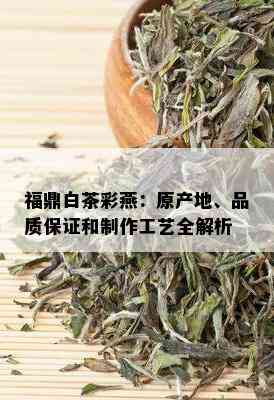 福鼎白茶彩燕：原产地、品质保证和制作工艺全解析