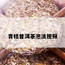 青桔普洱茶泡法视频