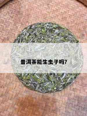 普洱茶能生虫子吗？