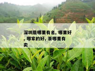 深圳眉哪里有名, 哪里好, 哪家的好, 茶哪里有卖