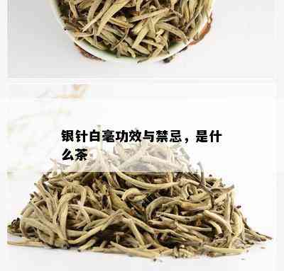 银针白毫功效与禁忌，是什么茶