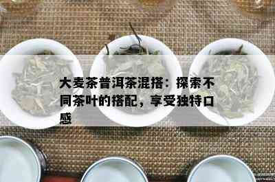 大麦茶普洱茶混搭：探索不同茶叶的搭配，享受独特口感