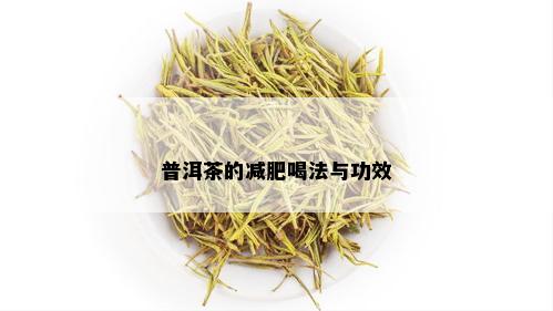 普洱茶的减肥喝法与功效