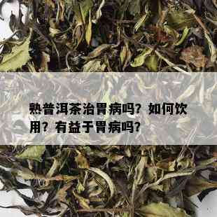 熟普洱茶治胃病吗？如何饮用？有益于胃病吗？