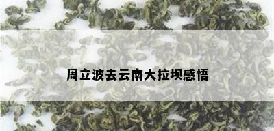 周立波去云南大拉坝感悟