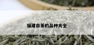 福建白茶的品种大全