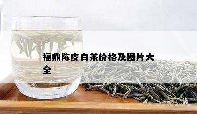 福鼎陈皮白茶价格及图片大全