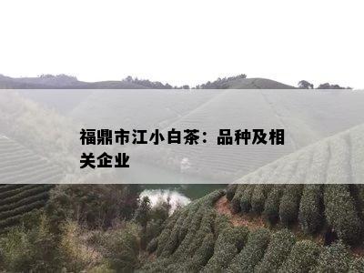 福鼎市江小白茶：品种及相关企业