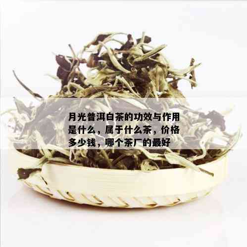 月光普洱白茶的功效与作用是什么，属于什么茶，价格多少钱，哪个茶厂的更好