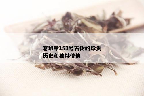 老班章153号古树的珍贵历史和独特价值