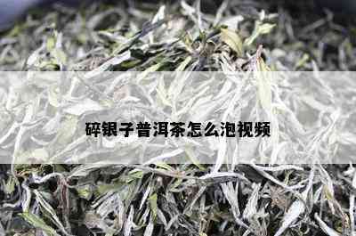 碎银子普洱茶怎么泡视频