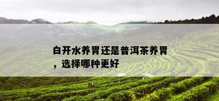 白开水养胃还是普洱茶养胃，选择哪种更好