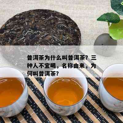 普洱茶为什么叫普洱茶？三种人不宜喝，名称由来，为何叫普洱茶？